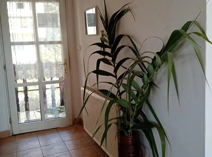 Gæstehus Kekturas-tora Nyilo Badacsonyi Privat Berlemeny Badacsonytomaj