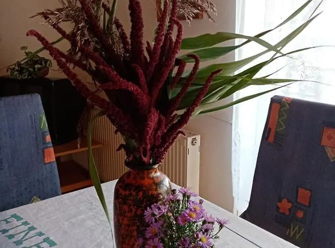 Kekturas-tora Nyilo Badacsonyi Privat Berlemeny Badacsonytomaj